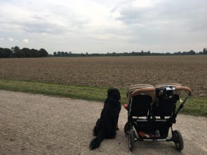 img_4880 Gassirunde mit Einstein und den Kindern