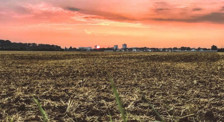 #roadtoberlin2018 - Woche 8/16